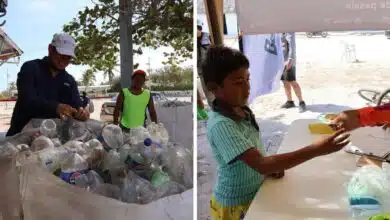 mercado circular en las coloradas impulsa reciclaje y reúne más de 1.5 toneladas de residuos