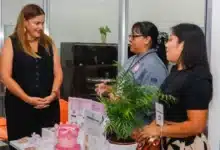 mérida simplifica créditos para emprendedores con trámites más rápidos