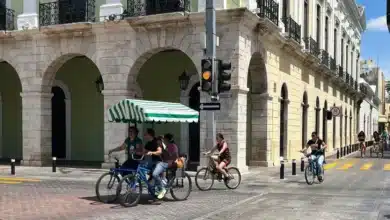 mérida vivió un domingo lleno de vida con alta afluencia en el centro histórico