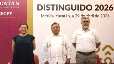 nombran a roger hervé aguilar salazar como maestro distinguido 2026 en yucatán