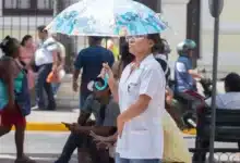 ola de calor en yucatán 2026 ¿cuándo inicia y qué temperaturas se esperan