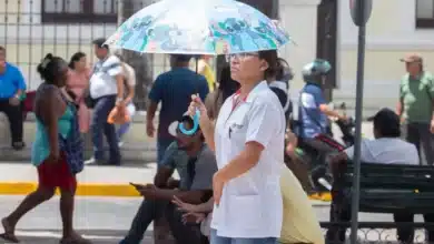 ola de calor en yucatán 2026 ¿cuándo inicia y qué temperaturas se esperan