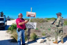 ordenan reparación del daño en dunas de sisal imputados deberán reforestar ecosistema costero