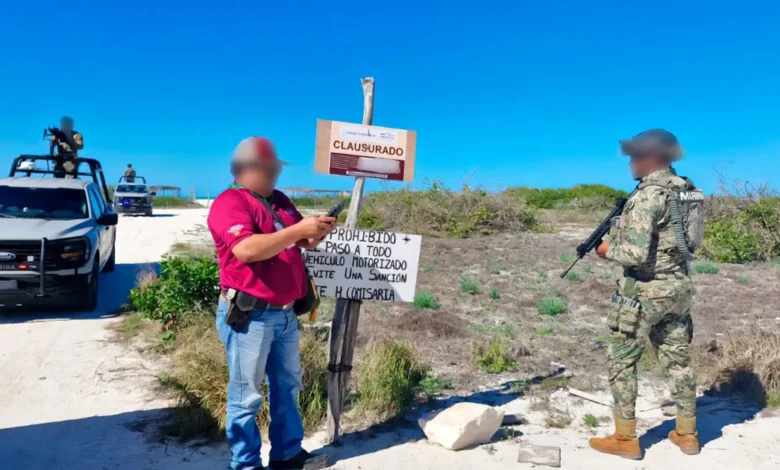 ordenan reparación del daño en dunas de sisal imputados deberán reforestar ecosistema costero