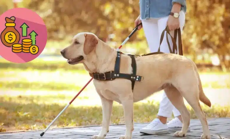 Perros guía en Yucatán inclusión avanza, pero con altos costos y sin centro de entrenamiento