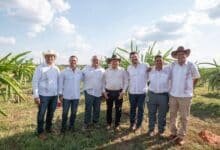 Pitahaya Valley posiciona a Yucatán como líder nacional en producción de la fruta