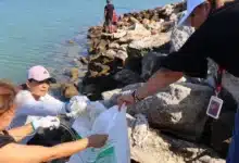 playa cerditos reduce más del 50% de residuos tras jornada de saneamiento