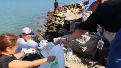 playa cerditos reduce más del 50% de residuos tras jornada de saneamiento