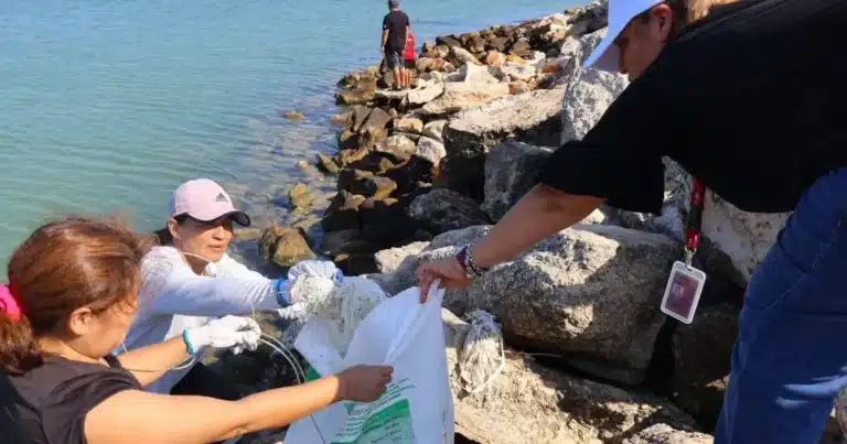 playa cerditos reduce más del 50% de residuos tras jornada de saneamiento