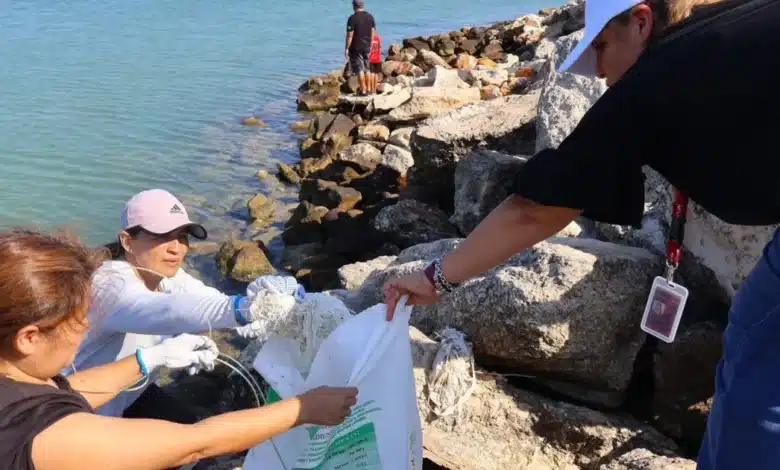 playa cerditos reduce más del 50% de residuos tras jornada de saneamiento