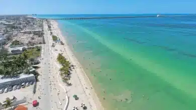 Puerto Progreso sin riesgo para bañistas: Erik Rihani 