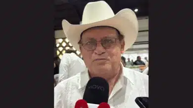 reforma a ley ganadera en yucatán fortalece exportación, trazabilidad y presupuesto al campo