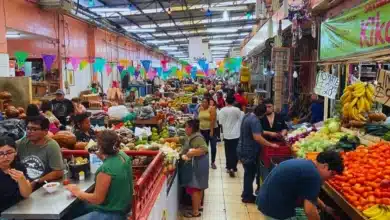regularización sin recargos en mercados de mérida