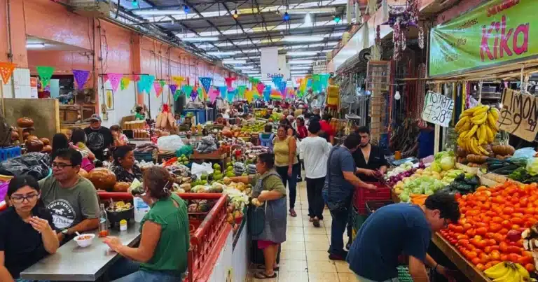 regularización sin recargos en mercados de mérida