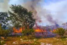 sequía y calor elevan riesgo de incendios en yucatán exhortan a no quemar basura