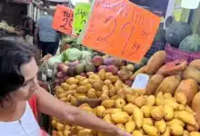 temporada de mango en yucatán llena mercados y patios con color y sabor