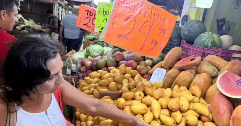 temporada de mango en yucatán llena mercados y patios con color y sabor