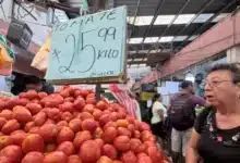 tomate baja, pero no da tregua el vaivén de precios que mantiene en alerta a los mercados