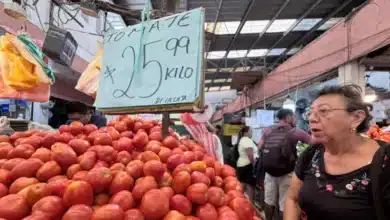 tomate baja, pero no da tregua el vaivén de precios que mantiene en alerta a los mercados