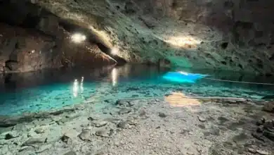 tres cenotes cerca de mérida que tienes que visitar