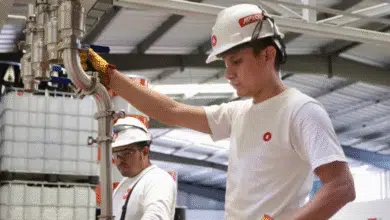 Yucatán rompe récord en exportaciones en 2025 con crecimiento de 21.1%