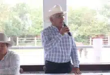 yucatán será sede del congreso mundial brahman 2026 y se proyecta como referente ganadero