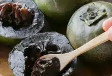 Zapote negro en Yucatán la fruta que parece chocolate y se come como postre