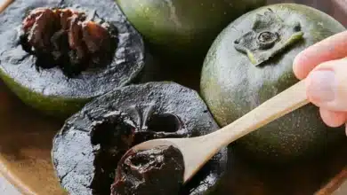 Zapote negro en Yucatán la fruta que parece chocolate y se come como postre