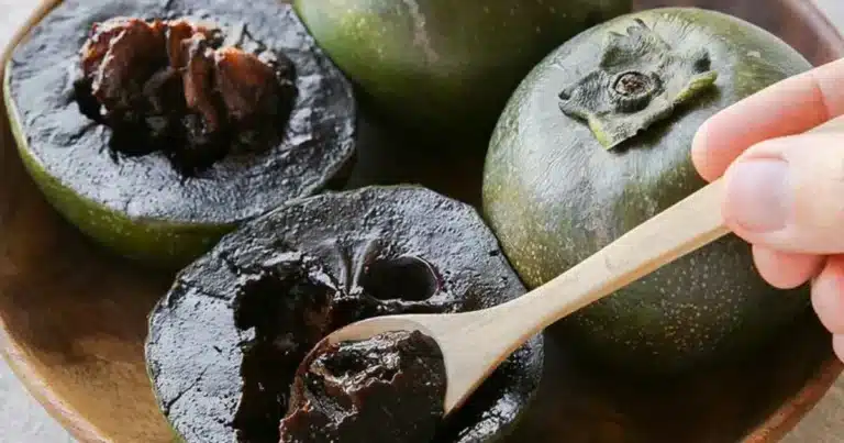 Zapote negro en Yucatán la fruta que parece chocolate y se come como postre
