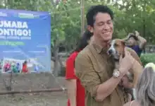 alistan nuevo reglamento municipal de fauna en mérida