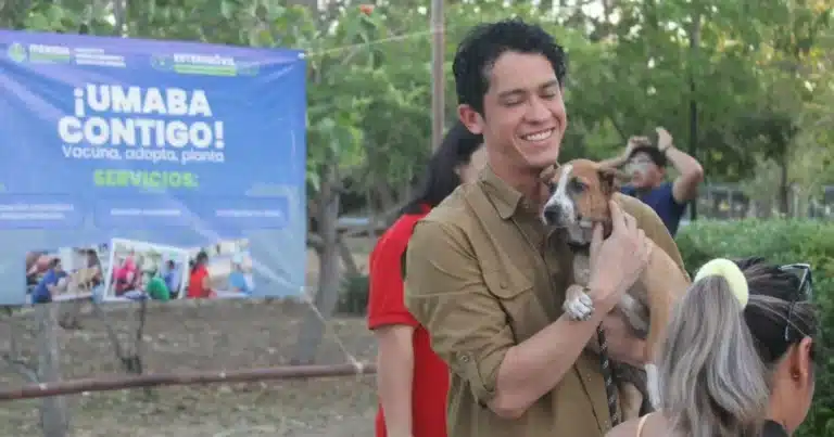 alistan nuevo reglamento municipal de fauna en mérida