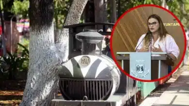 analiza ayuntamiento situación del trenecito del centenario