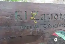 Baluarte de la selva en el oriente yucateco, el Área de Conservación El Zapotal 