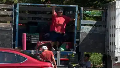 Calor extremo en Yucatán comienza a afectar escuelas y centros de trabajo