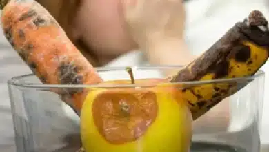 Calor extremo en Yucatán eleva riesgo de intoxicaciones por alimentos mal refrigerados