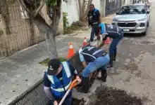 cecilia patrón despliega más de 100 brigadas para atender afectaciones tras histórica lluvia en mérida