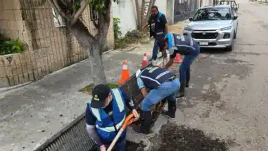 cecilia patrón despliega más de 100 brigadas para atender afectaciones tras histórica lluvia en mérida
