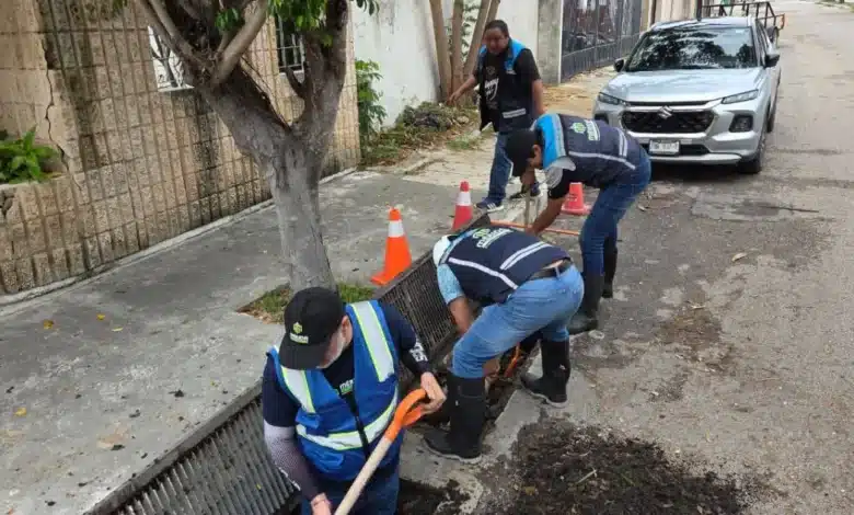 cecilia patrón despliega más de 100 brigadas para atender afectaciones tras histórica lluvia en mérida
