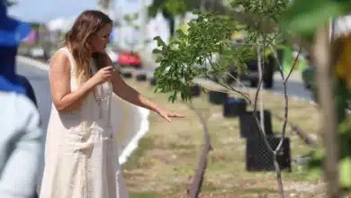 cecilia patrón impulsa arborización en circuito colonias con tecnología innovadora