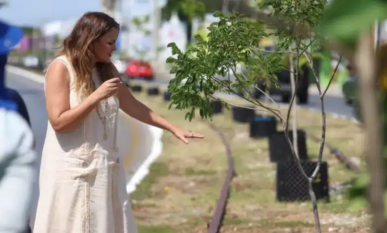 cecilia patrón impulsa arborización en circuito colonias con tecnología innovadora