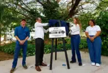 cecilia patrón protege árboles históricos y suma ya 174 patrimonios verdes en mérida