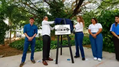 cecilia patrón protege árboles históricos y suma ya 174 patrimonios verdes en mérida