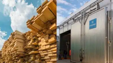 centro de secado de madera impulsa a yucatán hacia mercados nacionales e internacionales