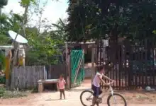 cfe proyecta más de 2 mil obras de electrificación en la península de yucatán