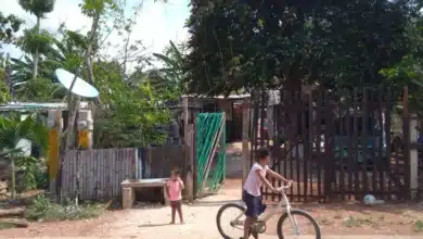 cfe proyecta más de 2 mil obras de electrificación en la península de yucatán