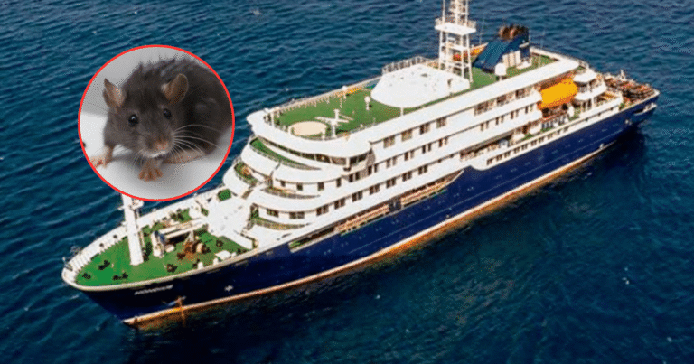 Crucero con brote de hantavirus se dirige a Islas Canarias bajo vigilancia sanitaria