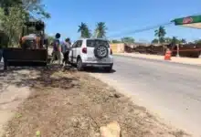 empresa pagará hoy la multa por talar árboles en cholul