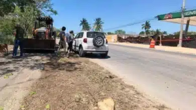 empresa pagará hoy la multa por talar árboles en cholul
