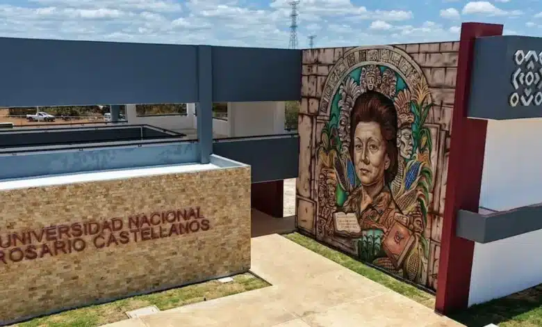 en junio abrirán nueva convocatoria de la universidad rosario castellanos
