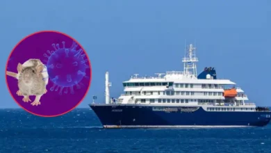 "Esto no es otra Covid": director de la OMS sobre brote de hantavirus (Fotos de internet)